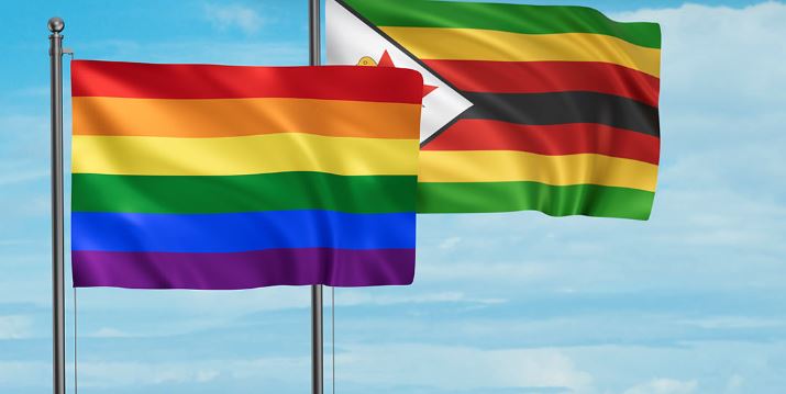 how queer Zimbabweans use social media